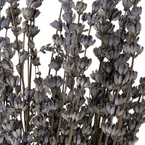 Article Fleurs séchées parfumées de lavande 35-40 cm 50 g