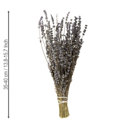 Article Fleurs séchées parfumées de lavande 35-40 cm 50 g