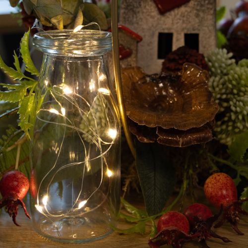 Guirlande lumineuse à piles pour intérieur, blanc chaud, 10 LED, 1 m de longueur, lot de 6 | Floristik24.be
