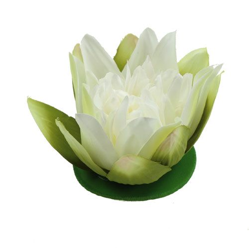 Floristik24 Crème de fleur de lotus artificielle 13cm 4pcs