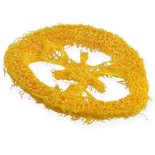 Floristik24 Tranches de luffa jaunes 25 p.