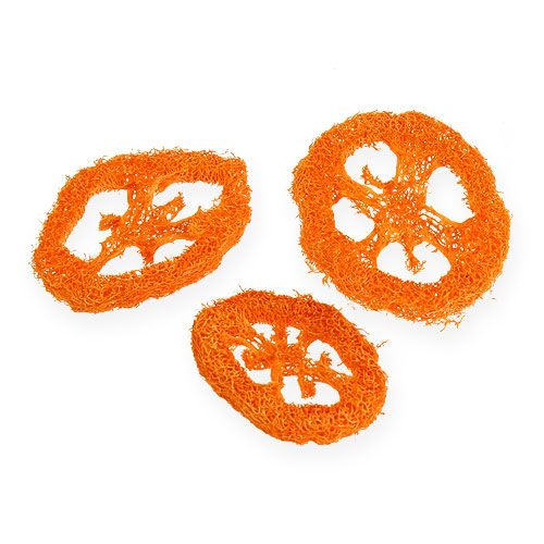 Tranches de luffa orange 25 p.