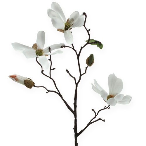 Floristik24 Branche décorative de magnolia 40 cm blanc 4 p.