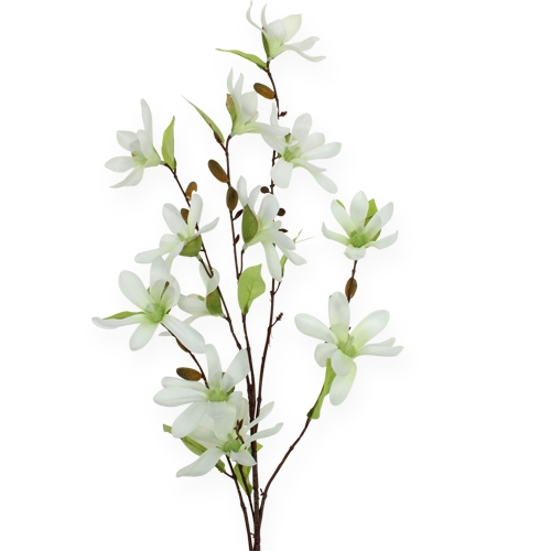 Floristik24 Branche de magnolia vert clair 91cm
