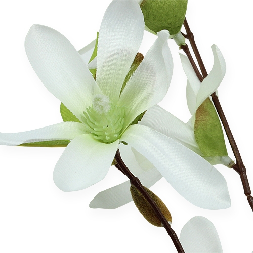 Article Branche de magnolia vert clair 91cm