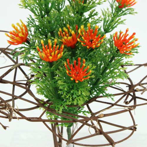 Floristik24 Manchette vigne Ø15cm 8pcs