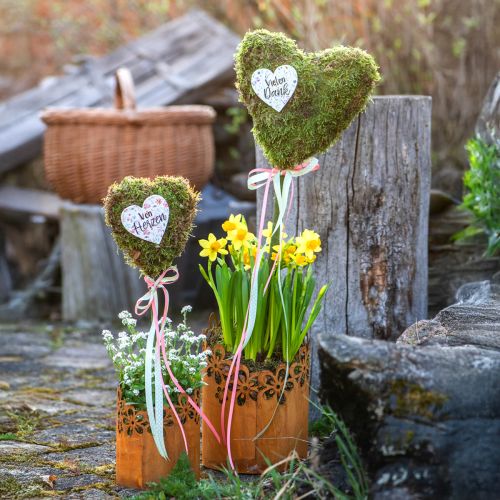 Floristik24 Lanterne décorative en métal rouille, jardinière en métal Ø12cm H17cm
