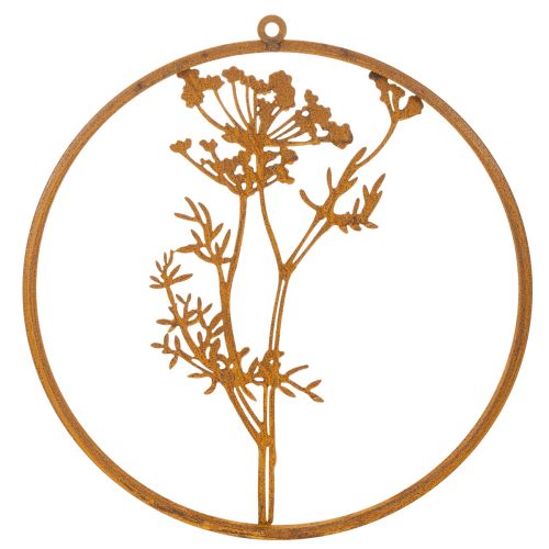 Anneau en métal rouillé, anneau décoratif, décoration murale, brin d'aneth, Ø38cm | Floristik24.be