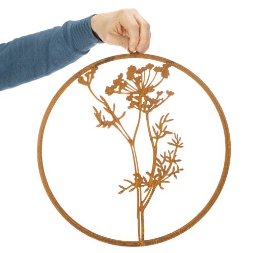 Anneau en métal rouillé, anneau décoratif, décoration murale, brin d'aneth, Ø38cm | Floristik24.be