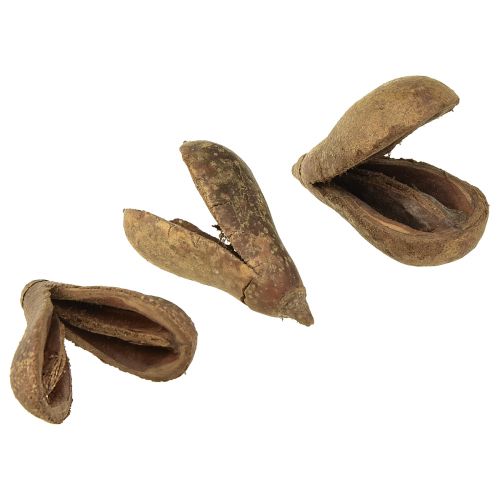 Floristik24 Mike Fruit Natural Materials Bagon Fruit Naturel 8cm 50 pcs