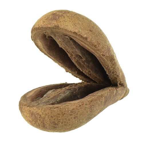 Floristik24 Mike Fruit Natural Materials Bagon Fruit Naturel 8cm 50 pcs