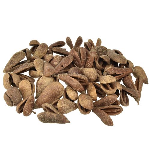 Floristik24 Mike Fruit Natural Materials Bagon Fruit Naturel 8cm 50 pcs