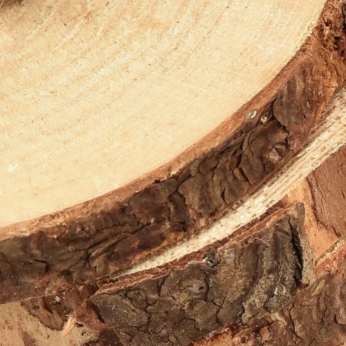 Article Mini disque d&#39;arbre avec écorce décoration bois naturel Ø8-9cm 9pcs