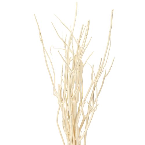 Floristik24 Branches de Mitsumata blanches 34-60 cm 12 pièces