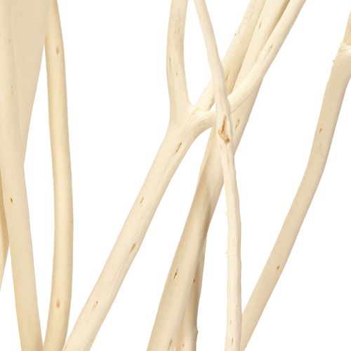 Article Branches de Mitsumata blanches 34-60 cm 12 pièces