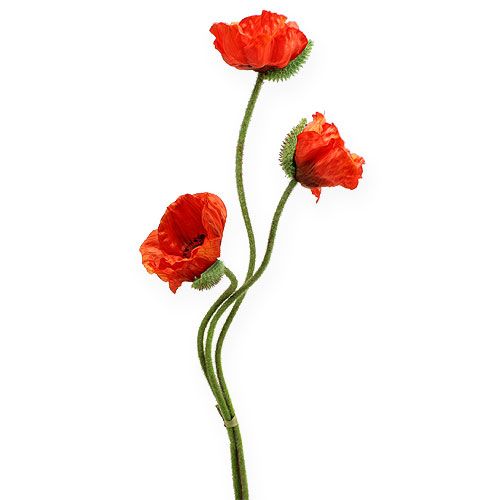 Floristik24 Fleur artificielle coquelicot orange 75 cm 3 p.