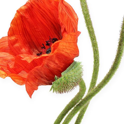 Floristik24 Fleur artificielle coquelicot orange 75 cm 3 p.