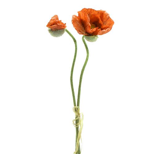 Floristik24 Fleur de coquelicot orange 68 cm 2 p.