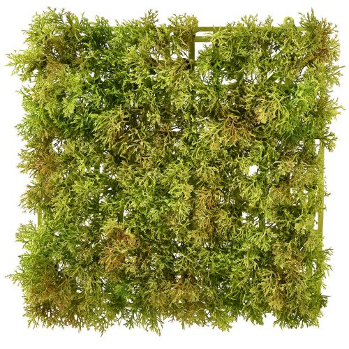Floristik24 Tapis de mousse artificielle – parfait pour l&#39;image de mousse vert clair 25×25cm