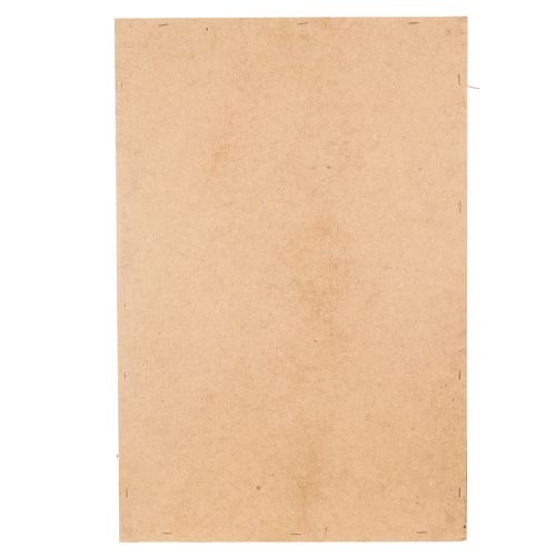 Article Tableau de mousse, véritable mousse et brindilles préservées, naturel, 60×40 cm