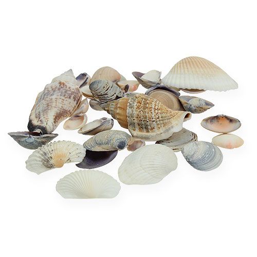 Article Mélange de moules naturel 400g