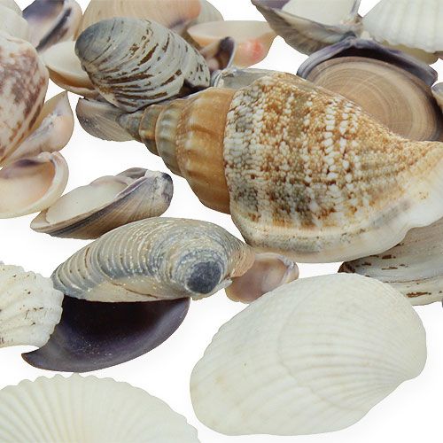 Article Mélange de moules naturel 400g