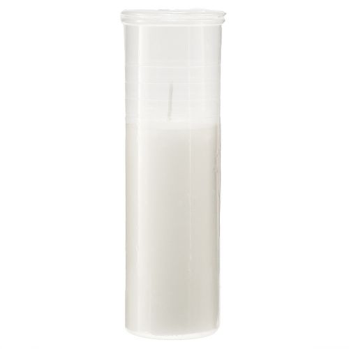 Floristik24 Recharge bougies pour lampes funéraires blanc 84h H17cm 5 pcs