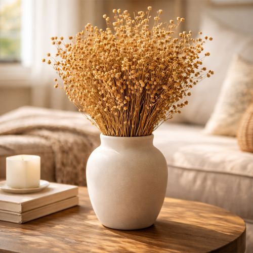 Article Lin naturel séché pour compositions florales séchées Linum Natur 60cm 180g