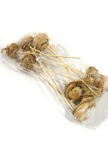 Floristik24 Nid d&#39;oiseau avec des oeufs sur la barre 6cm 6pcs