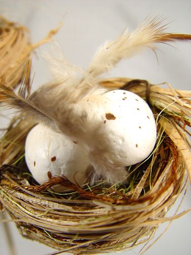 Floristik24 Nid d'oiseau avec des oeufs sur la barre 6cm 6pcs