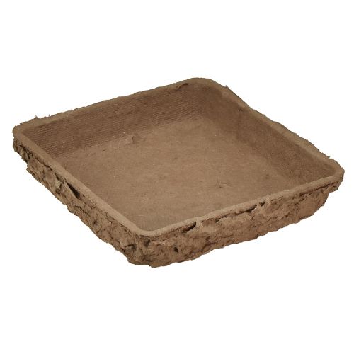 Article Oasis Biolit Support pour ½ brique mousse florale 13×13×2cm 12pcs