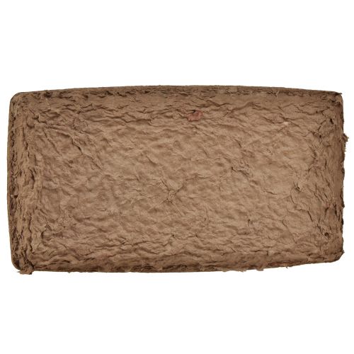 Article Support Oasis Biolit briques en mousse florale 25×14×2cm 11pcs