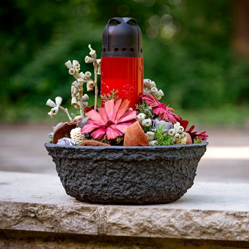 Floristik24 Bol à Plantes Oasis Noir Biolit Bol à Fleurs Noir Ø26cm