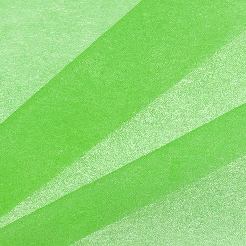 Floristik24 Polaire décorative 60cm x 20m vert