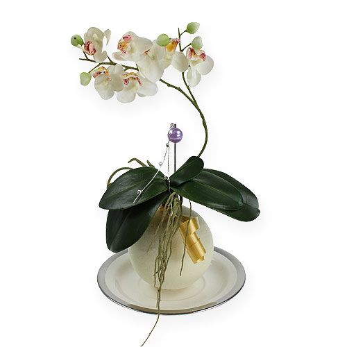 Floristik24 Boules mousse à piquer crème 9cm 4 pièces