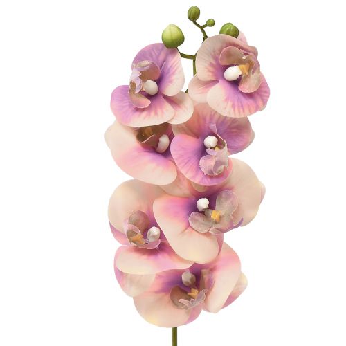Orchidée Phalaenopsis artificielle 7 fleurs violet crème 73cm