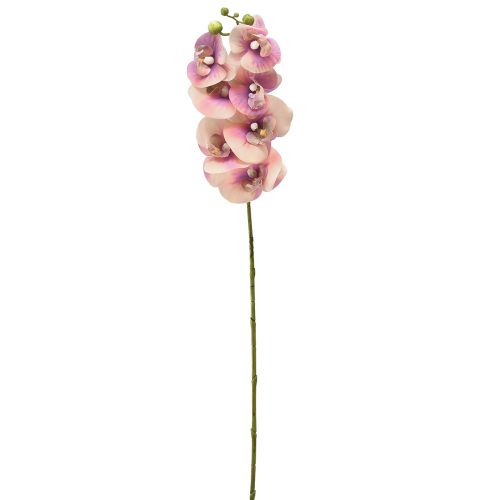 Article Orchidée Phalaenopsis artificielle 7 fleurs violet crème 73cm