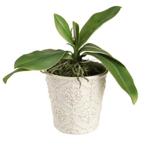 Floristik24 Feuilles d&#39;orchidées avec racines aériennes artificielles 34x8x18cm