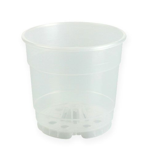 Floristik24 Pot pour orchidées Ø12cm transparent 10pcs