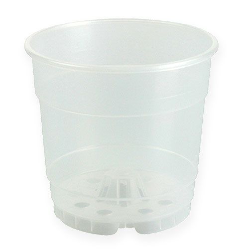 Floristik24 Pot pour orchidées transparent Ø15cm 10pcs