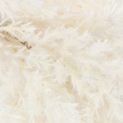 Article Herbe de la pampa blanche, herbes séchées artificielles, plantes artificielles