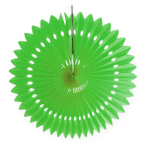 Floristik24 Fleur en papier alvéolé, vert, Ø 40 cm 4 p.