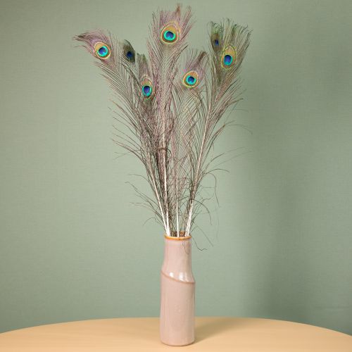 Article Plumes de paon décoratives, véritables plumes d'oiseaux, longues de 75 à 85 cm, 8 pièces