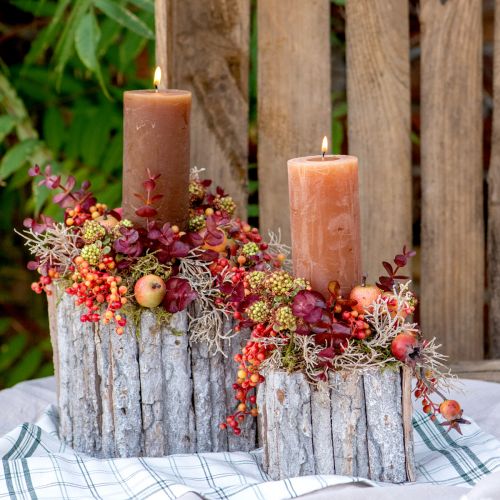 Floristik24 Jardinière en bois avec écorce blanc naturel 17/24cm lot de 2 pièces