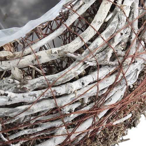 Floristik24 Coupelle à plantes Ø 18 cm