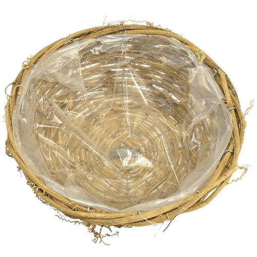 Article Bol à plantes rond vigne naturel Ø23cm H9,5cm