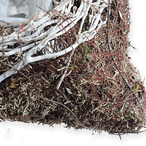 Floristik24 Coupelle à plantes rectangulaire 20 x 20 cm