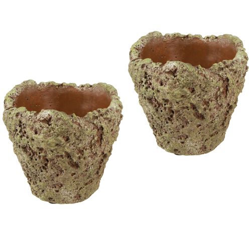 Article Cache-pot aspect forêt rustique jardinière Ø12,5cm H12cm 6pcs