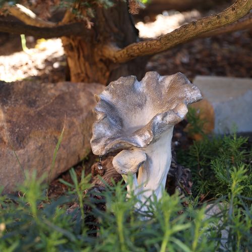 Floristik24 Figurine décorative en pierre moulée en forme de champignon, décoration de jardin, grise, 18 x 16 x 25 cm