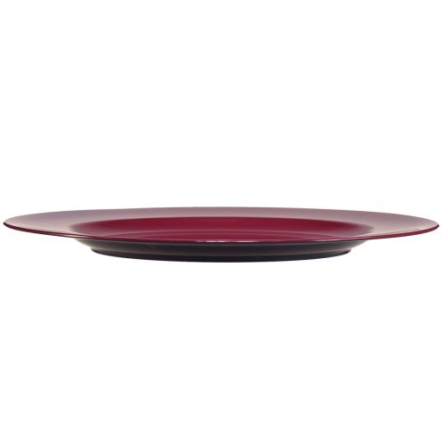 Article Assiettes polyvalentes en plastique rouge foncé – 28 cm, parfaites pour la décoration et l&#39;extérieur – 4 pièces